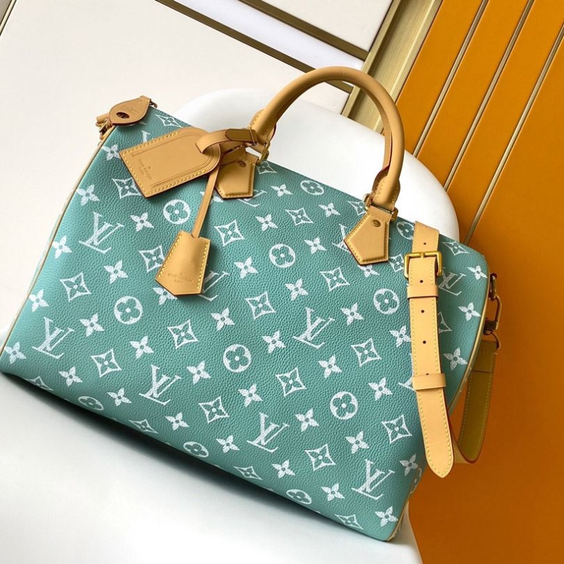 LV Travel Bags